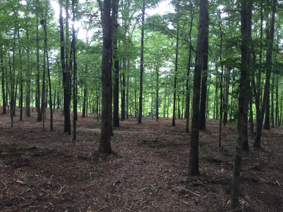 Myhand Services - Water Well Drilling, Land Clearing, & Bobcat Services - project or facility photo 4 of 5